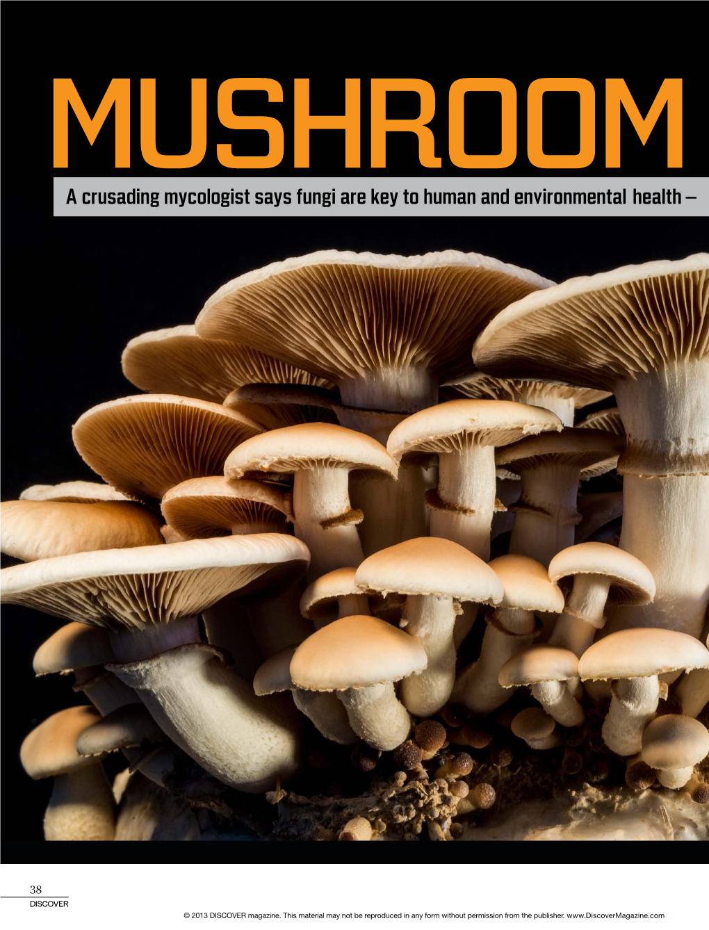Mushroom Manifesto a Crusading Mycologist Says Fungi Are Key to Human and Environmental Health — and Can Clean up Everything from Oil Spills to Nuclear Meltdowns