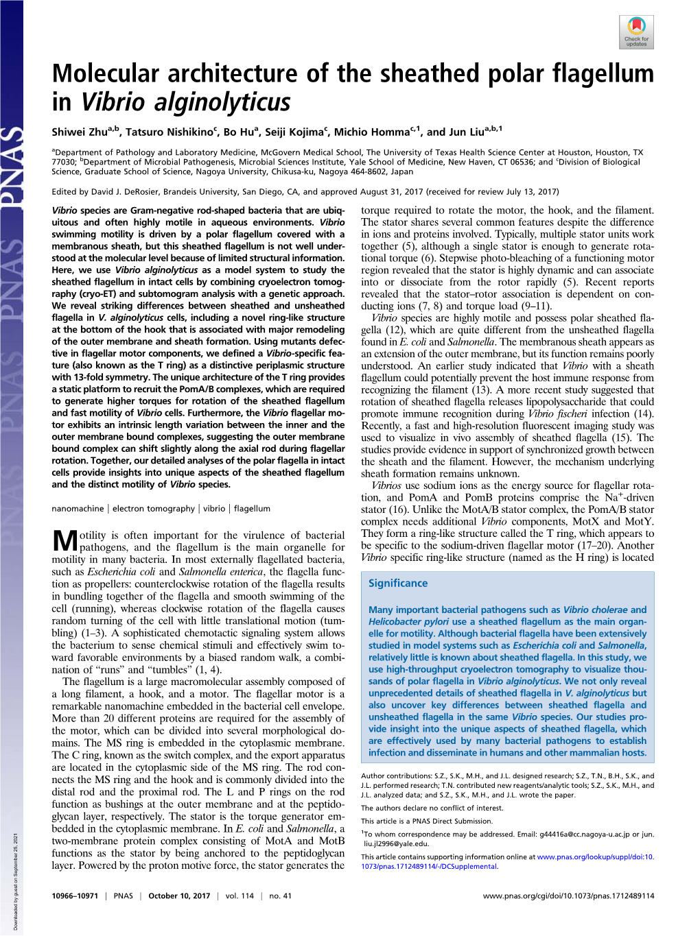 Molecular Architecture of the Sheathed Polar Flagellum in Vibrio Alginolyticus