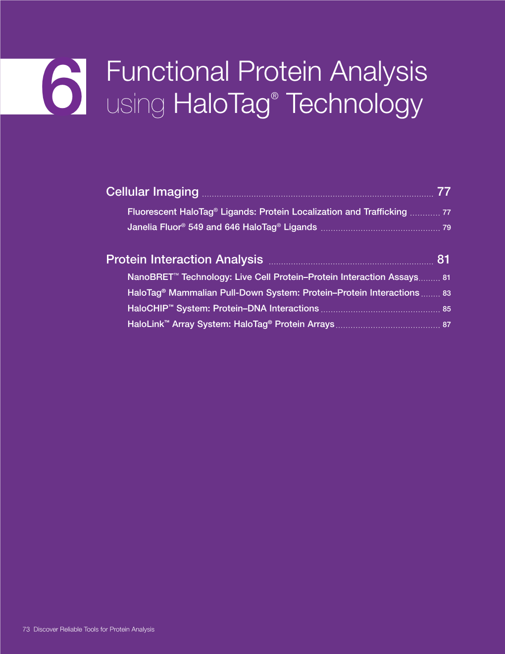 Functional Protein Analysis Using Halotag® Technology Understanding the Functional Role of Proteins and Their Intracellular Behavior Is Increasingly Important