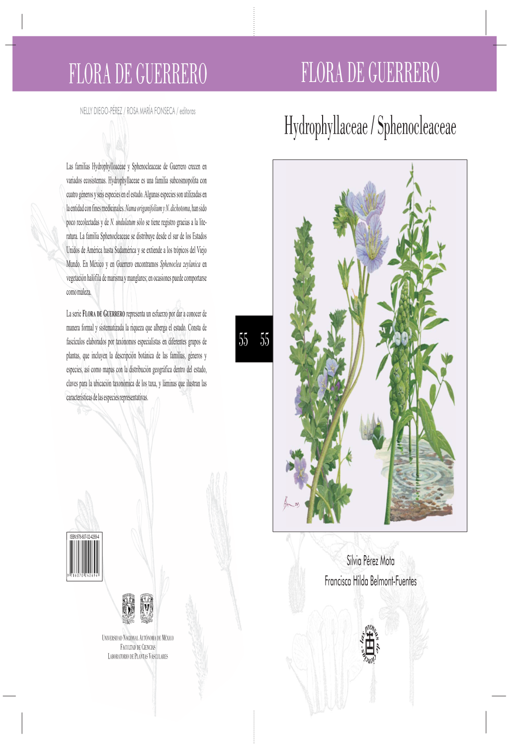 Hydrophyllaceae