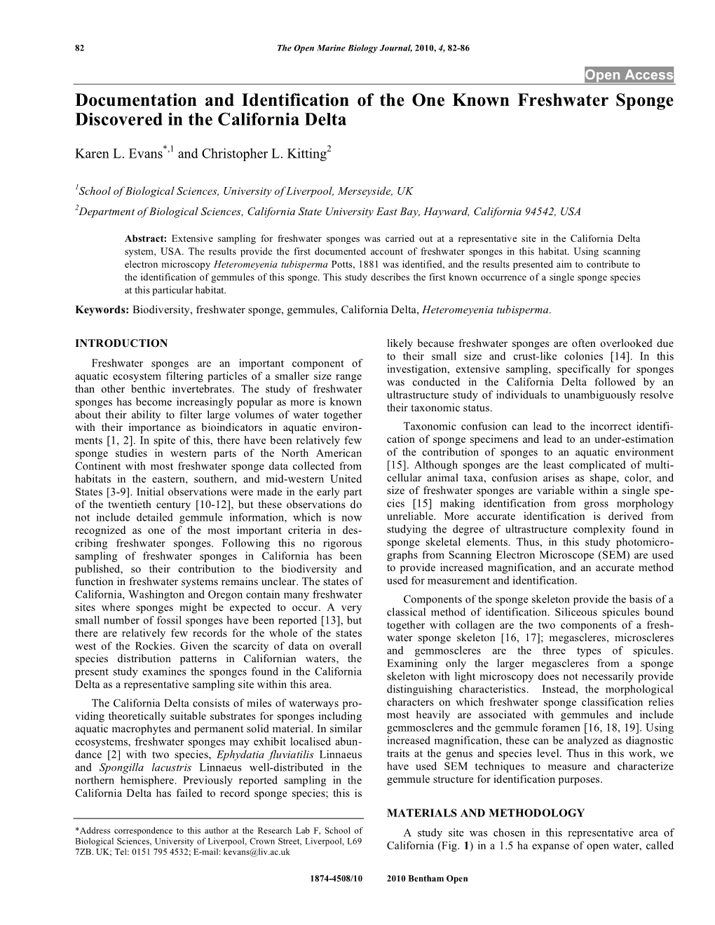 Documentation and Identification of the One Known Freshwater Sponge Discovered in the California Delta