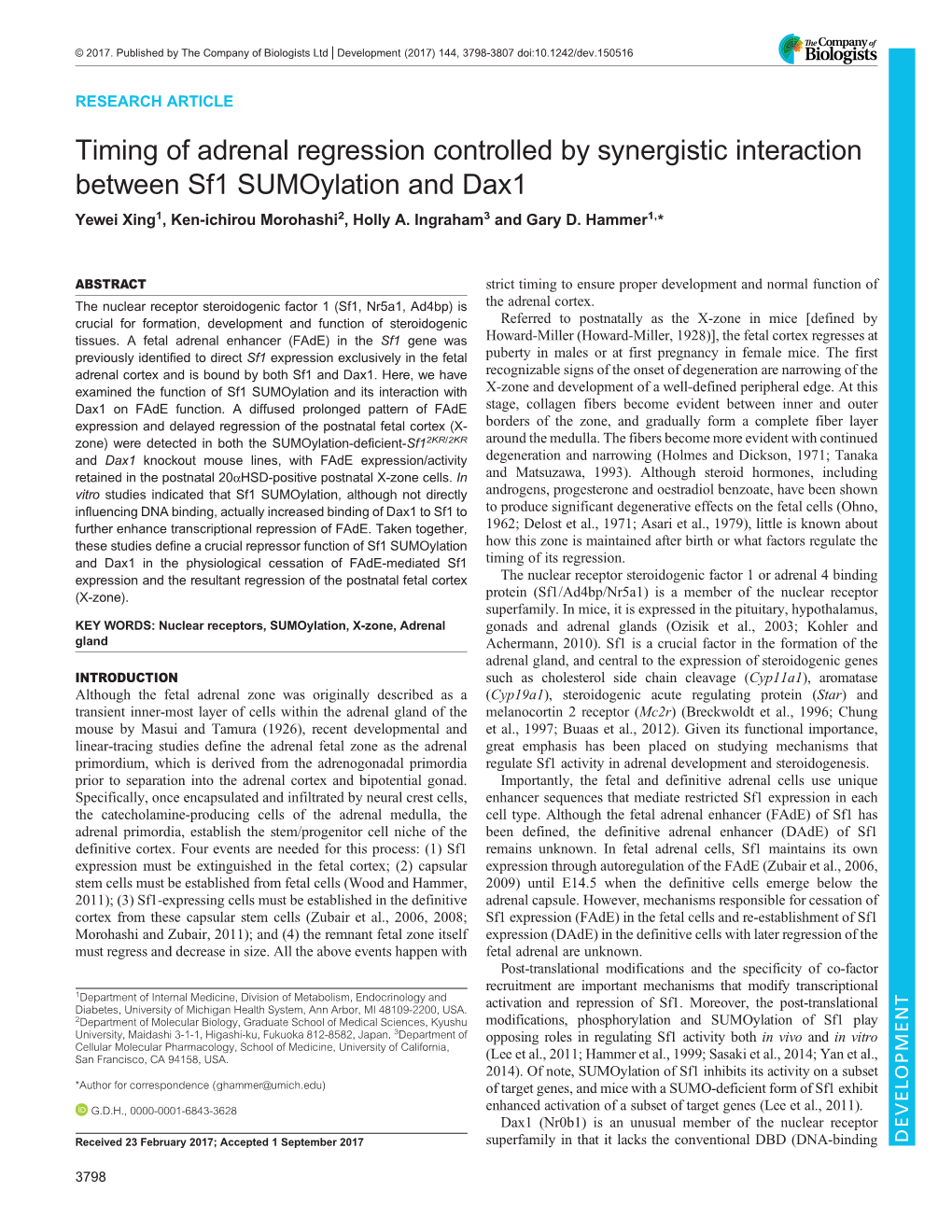 Timing of Adrenal Regression Controlled by Synergistic Interaction Between Sf1 Sumoylation and Dax1 Yewei Xing1, Ken-Ichirou Morohashi2, Holly A