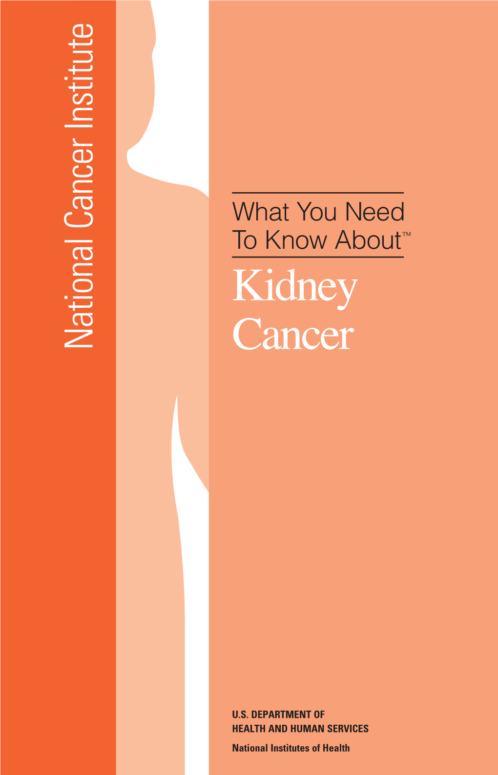 What You Need to Know About Kidney Cancer