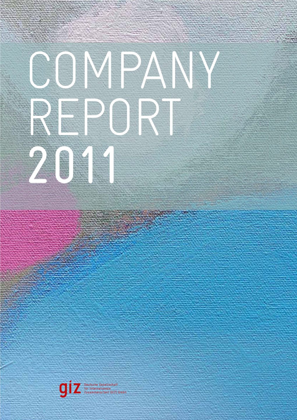 G I Z Company Report 2011