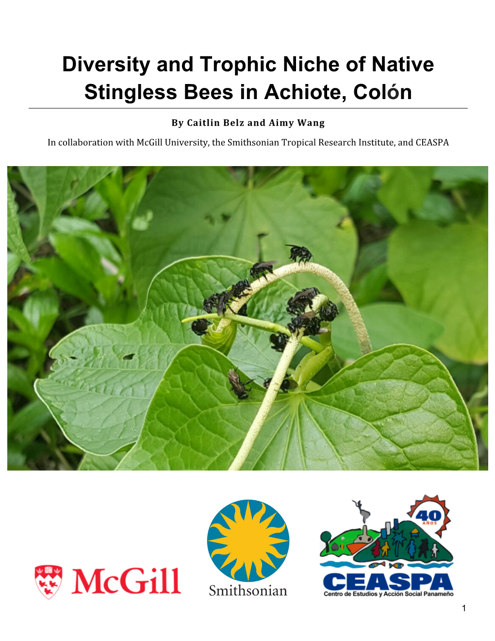 Diversity and Trophic Niche of Native Stingless Bees in Achiote, Colón.Pdf