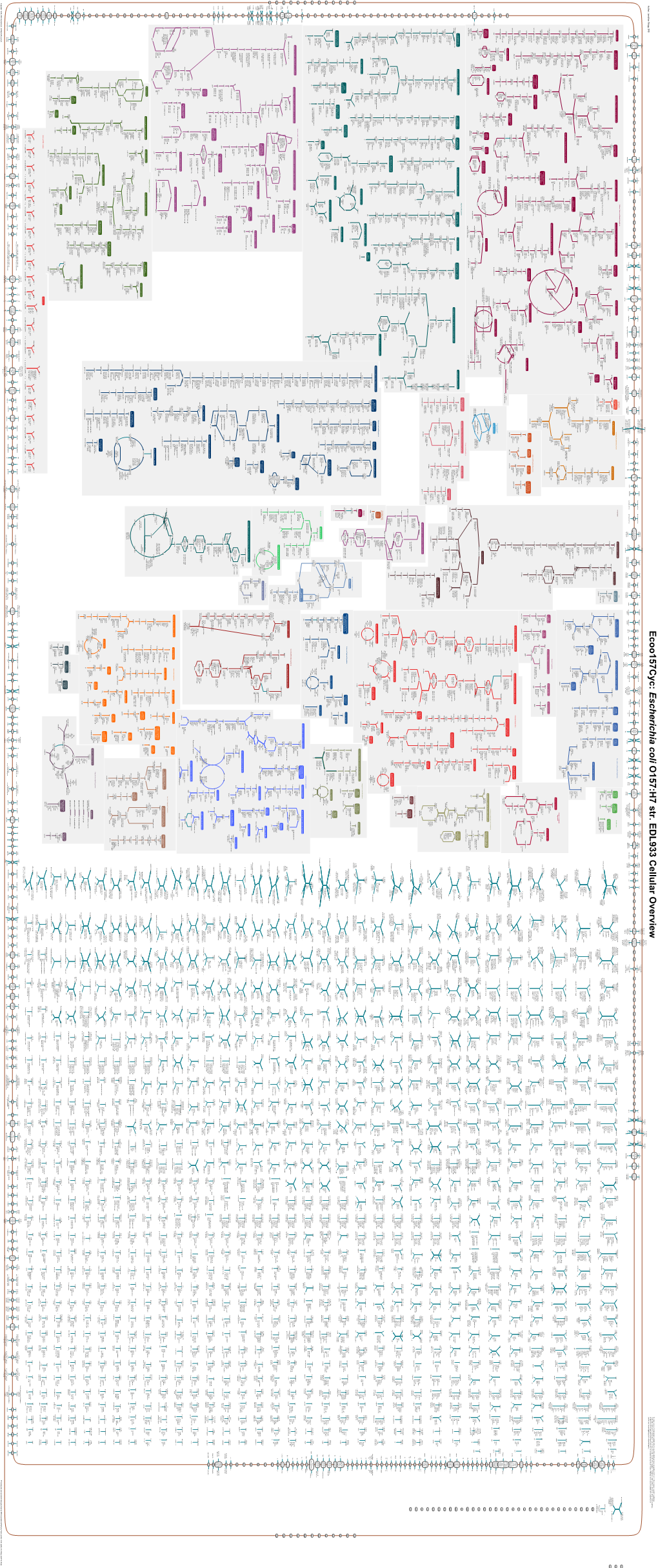 Generated by SRI International Pathway Tools Version 25.0, Authors S