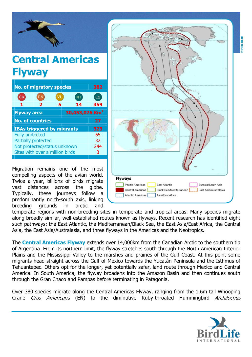 Central Americas Flyway