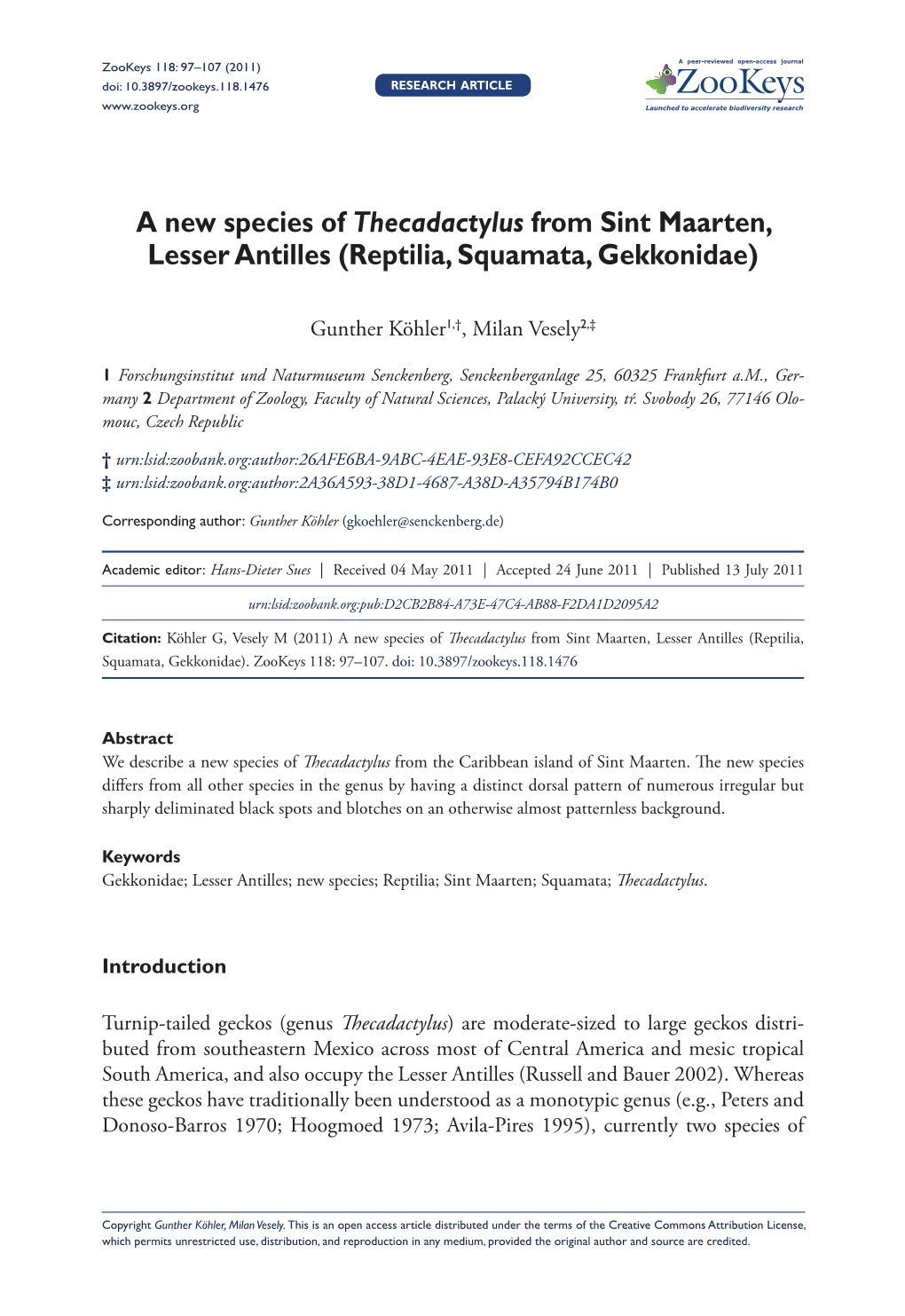 A New Species of Thecadactylus from Sint Maarten, Lesser Antilles (Reptilia, Squamata, Gekkonidae)