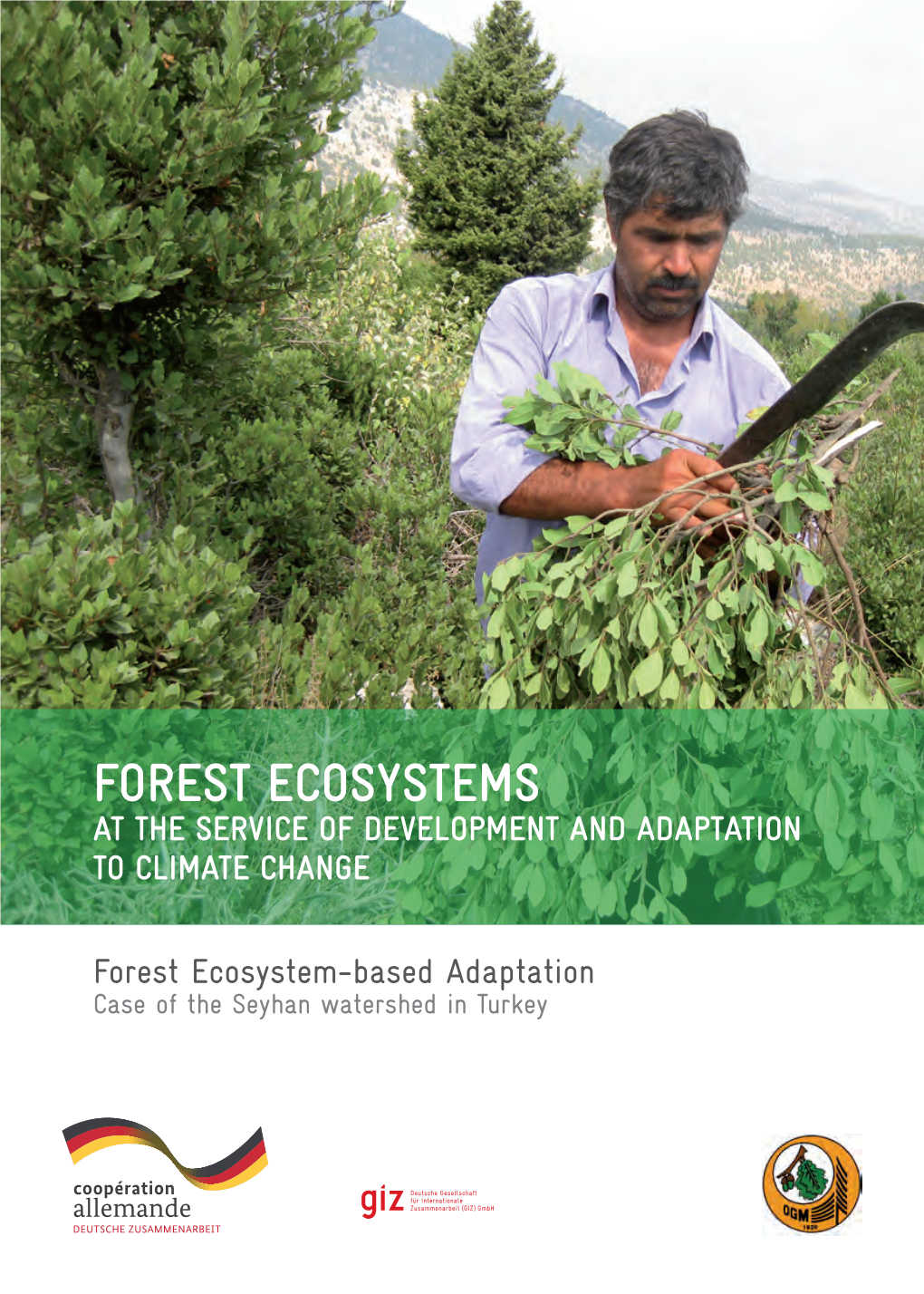 Forest Ecosystem-Based Adaptation