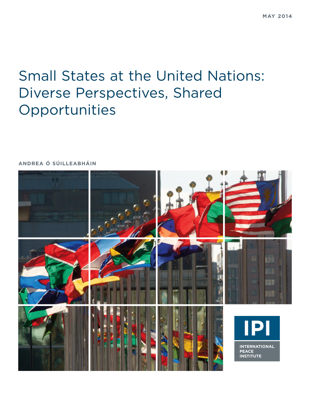 Small States at the United Nations: Diverse Perspectives, Shared Opportunities