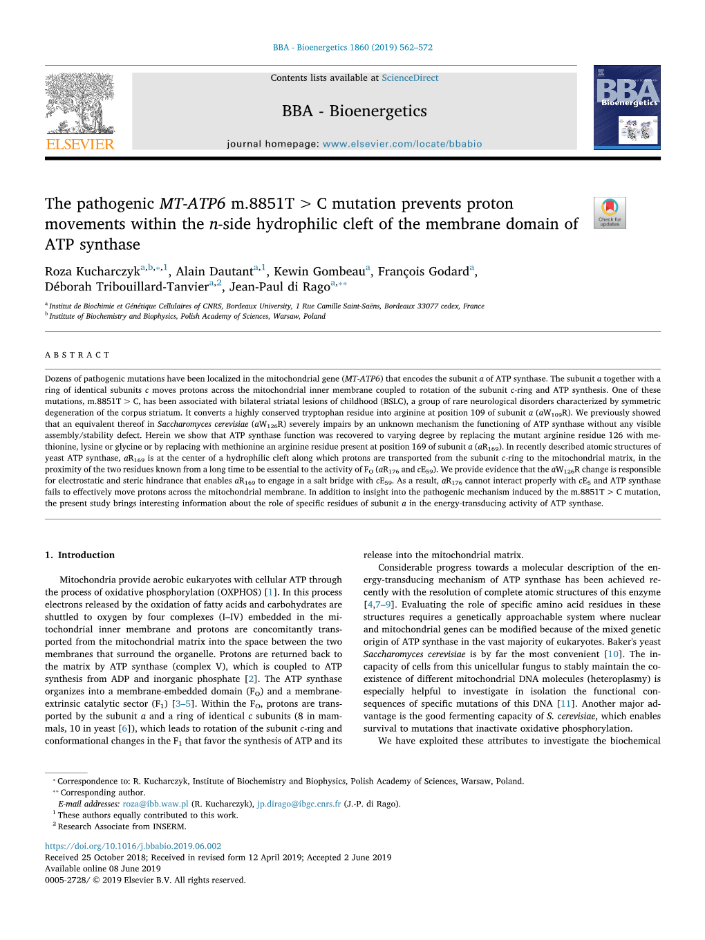 BBA - Bioenergetics 1860 (2019) 562–572