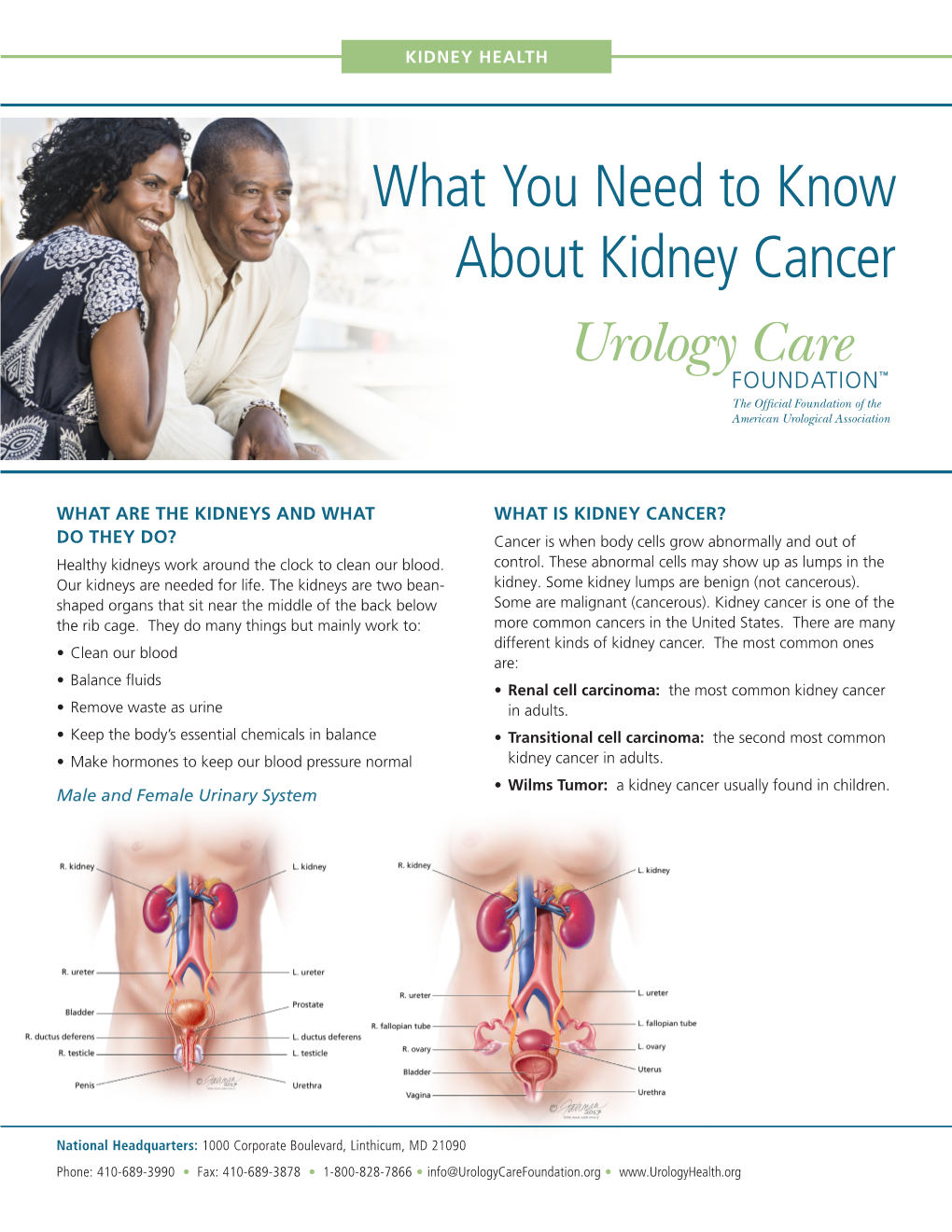 Kidney Cancer-What You-Need-To Know-Fact-Sheet