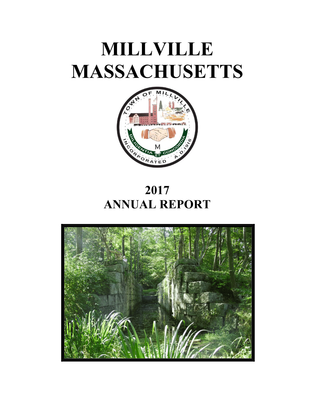 2017 Annual Town Report