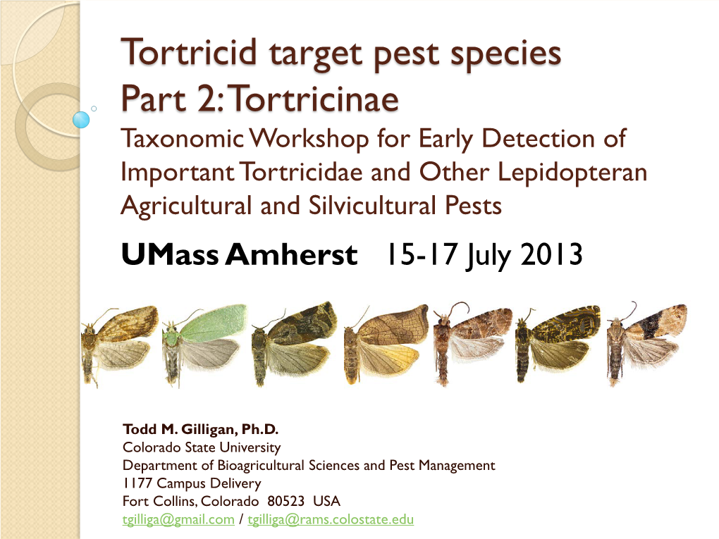 Tortricid Target Pest Species Part 2: Tortricinae
