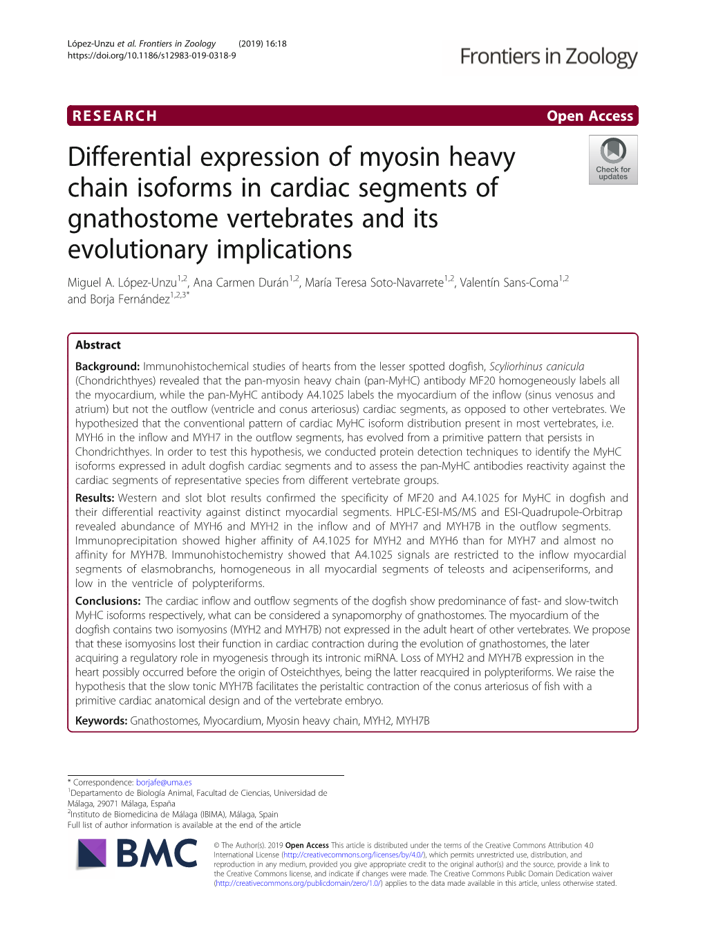 Differential Expression of Myosin Heavy Chain Isoforms in Cardiac Segments of Gnathostome Vertebrates and Its Evolutionary Implications Miguel A