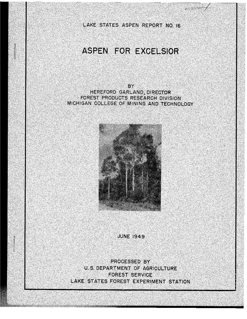 Aspen for Excelsior