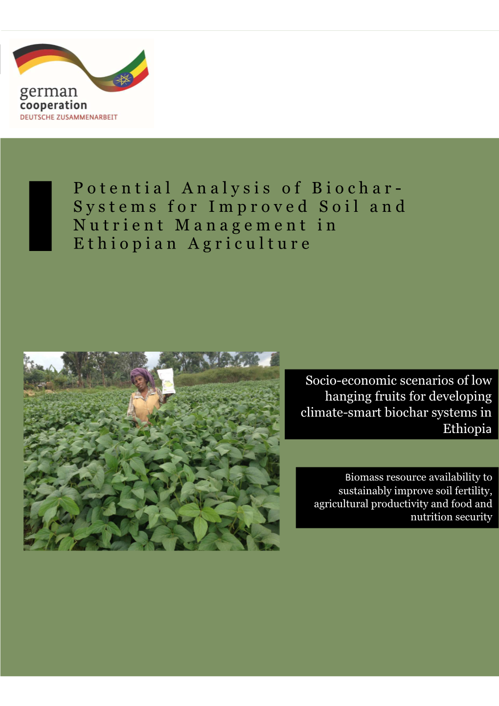 Potential Analysis of Biochar Systems for Improved Soil and Nuterient