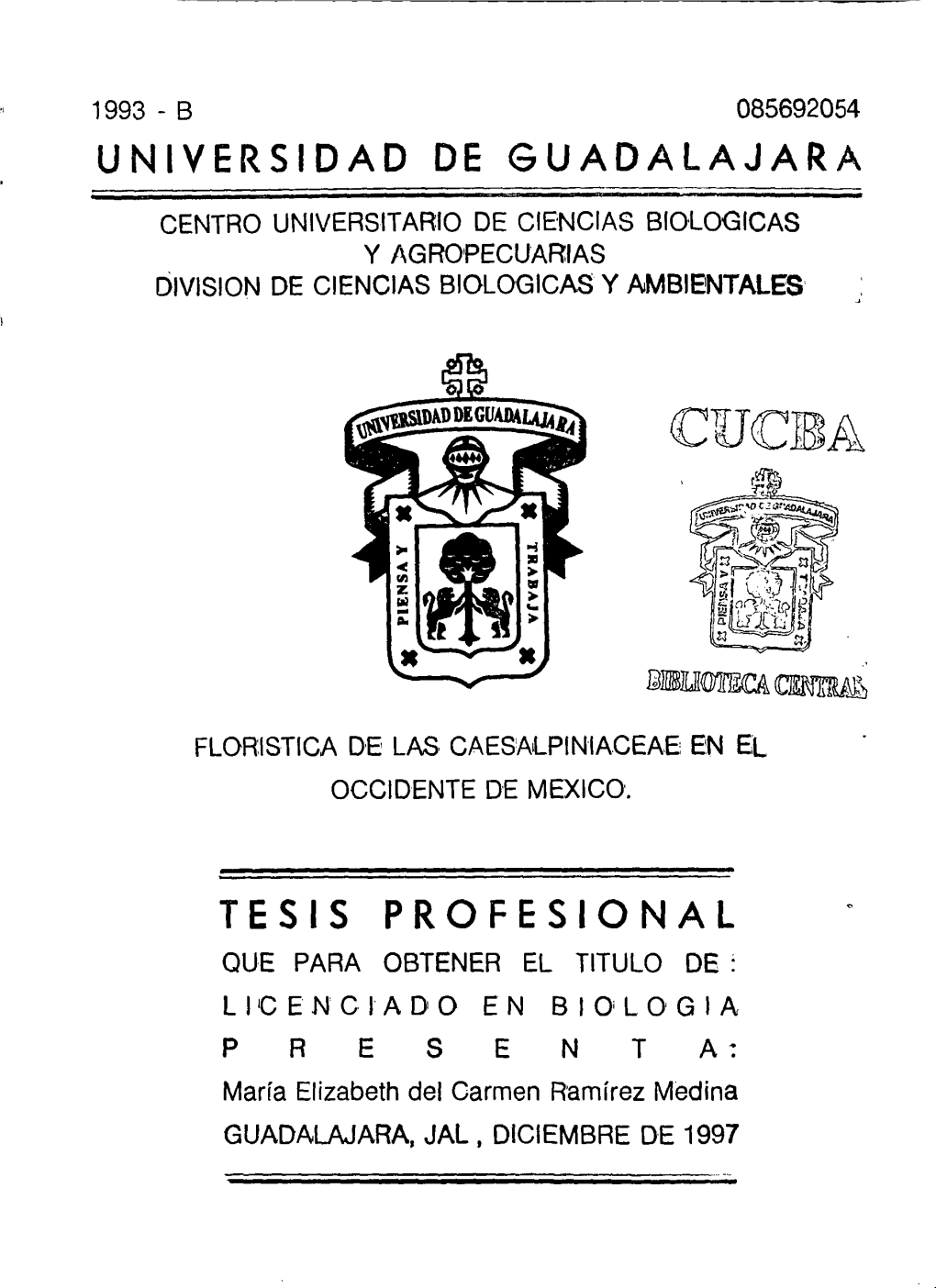 Universidad De Guadalajara Tesis Profesional