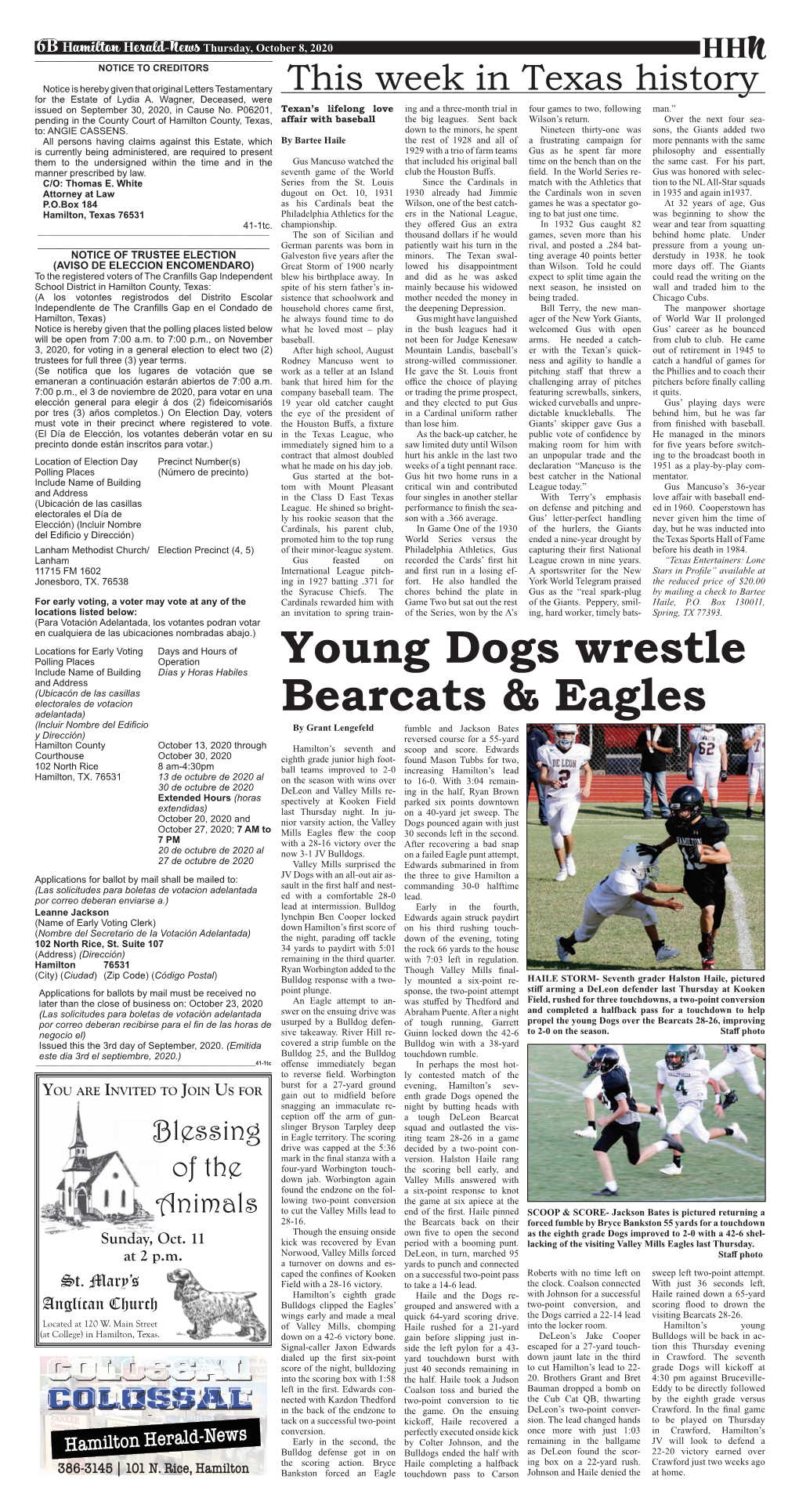Young Dogs Wrestle Bearcats & Eagles
