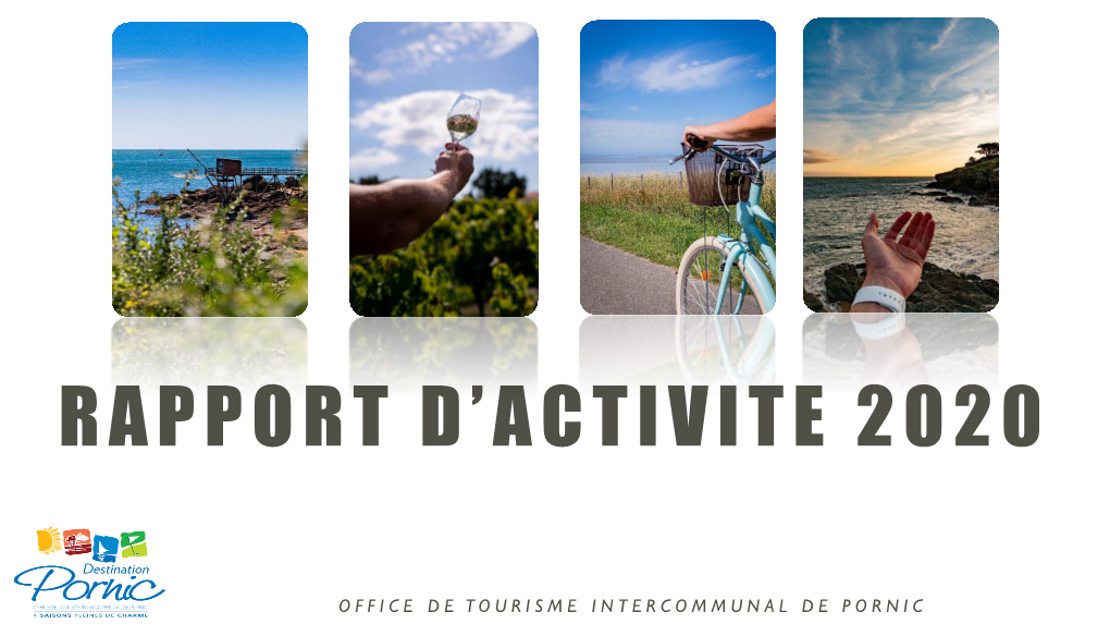 Rapport D'activite 2016