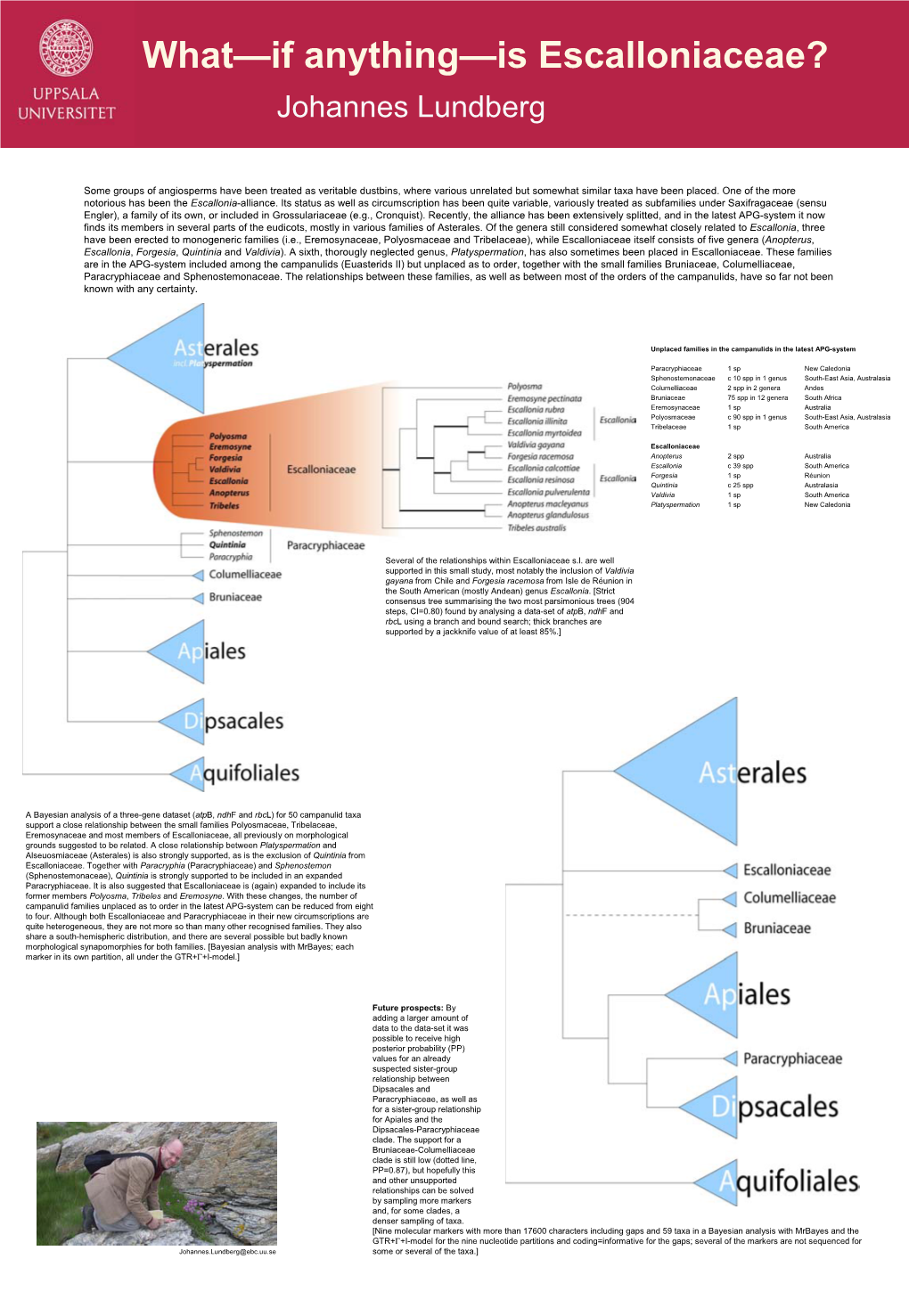 What—If Anything—Is Escalloniaceae? Johannes Lundberg