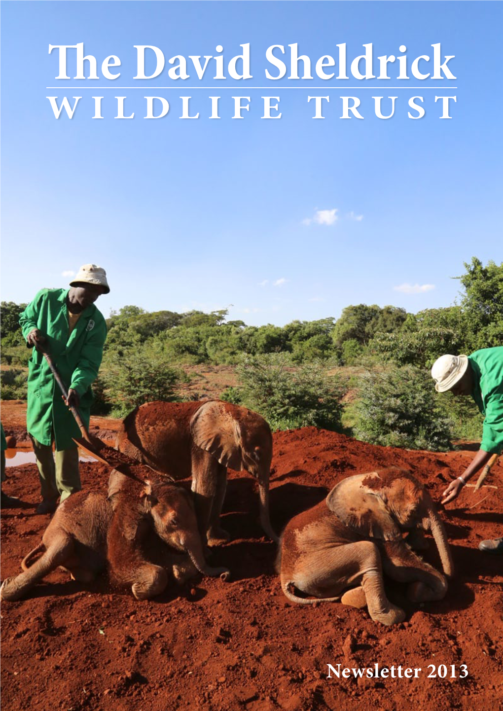 The David Sheldrick WILDLIFE TRUST