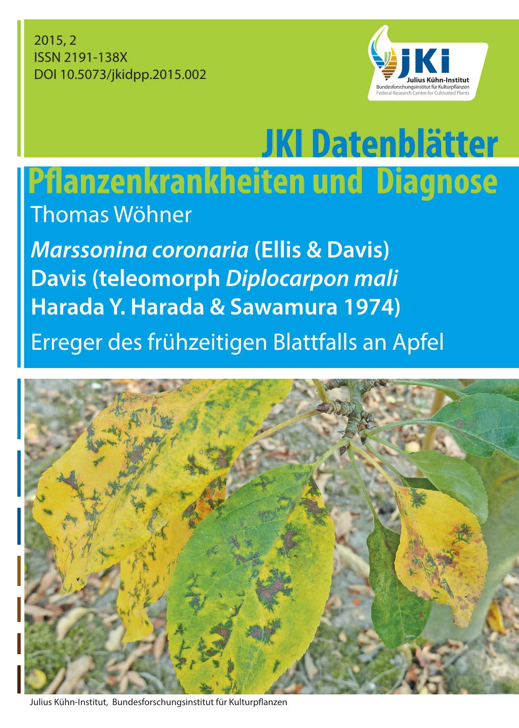 JKI Datenblätter Pflanzenkrankheiten Und Diagnose Thomas Wöhner Marssonina Coronaria (Ellis & Davis) Davis (Teleomorph Diplocarpon Mali Harada Y