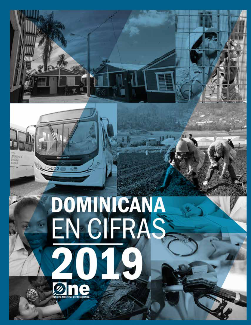 Dominicana-En-Cifras-2019.Pdf