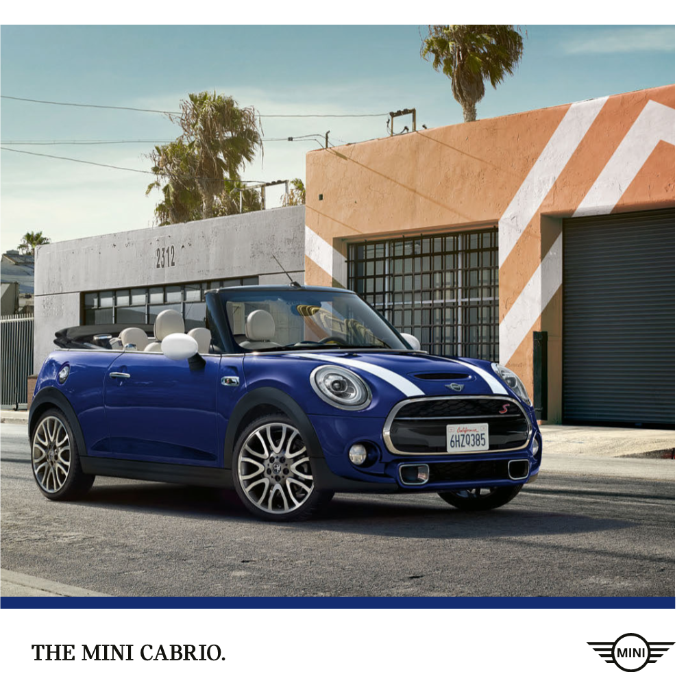 The Mini Cabrio