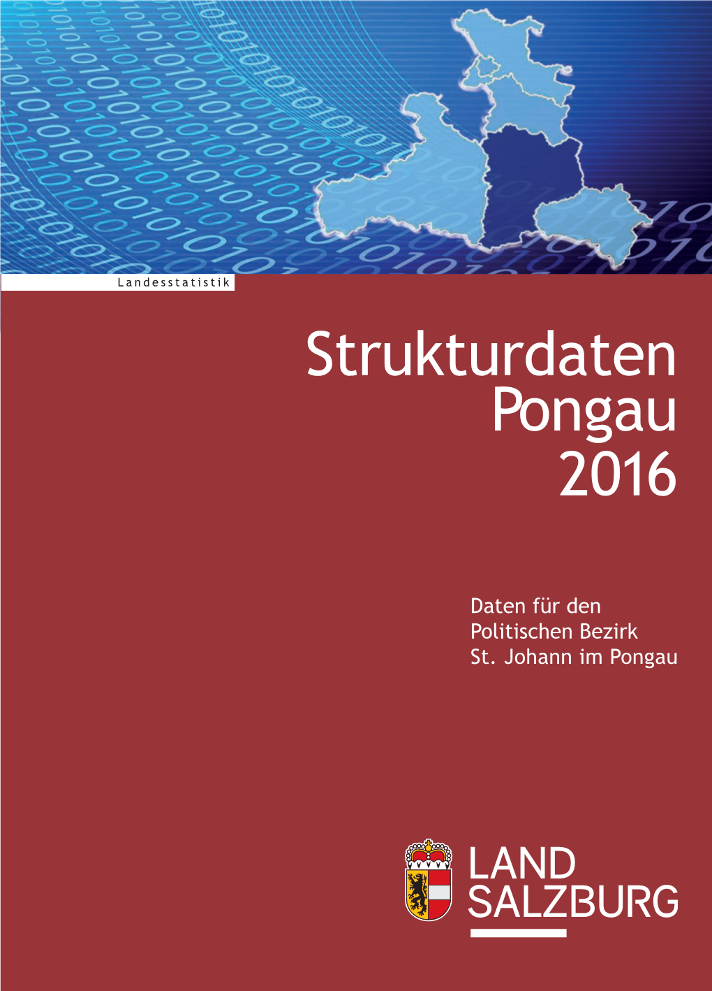 Strukturdaten Pongau 2016