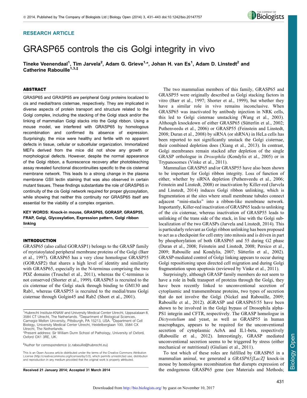 GRASP65 Controls the Cis Golgi Integrity in Vivo