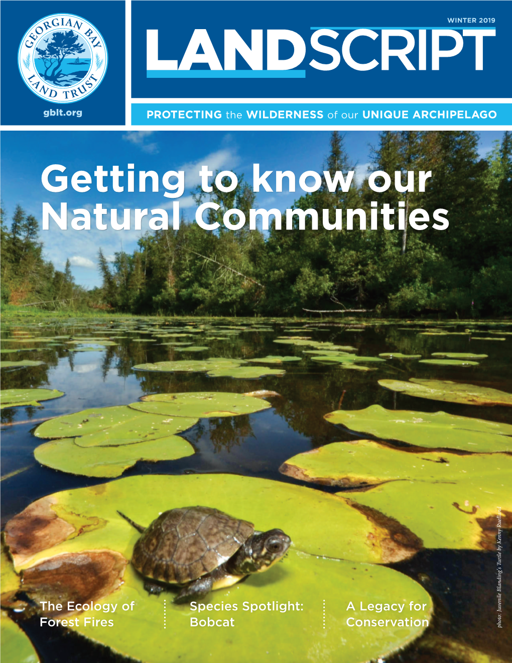 Getting to Know Our Natural Communities