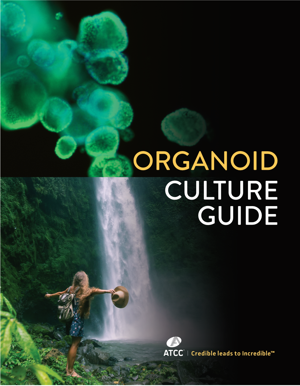 ATCC Organoid Culture Guide