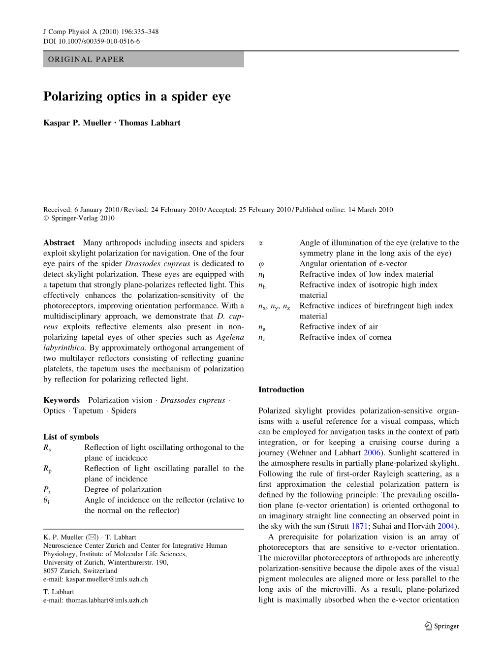 Polarizing Optics in a Spider Eye
