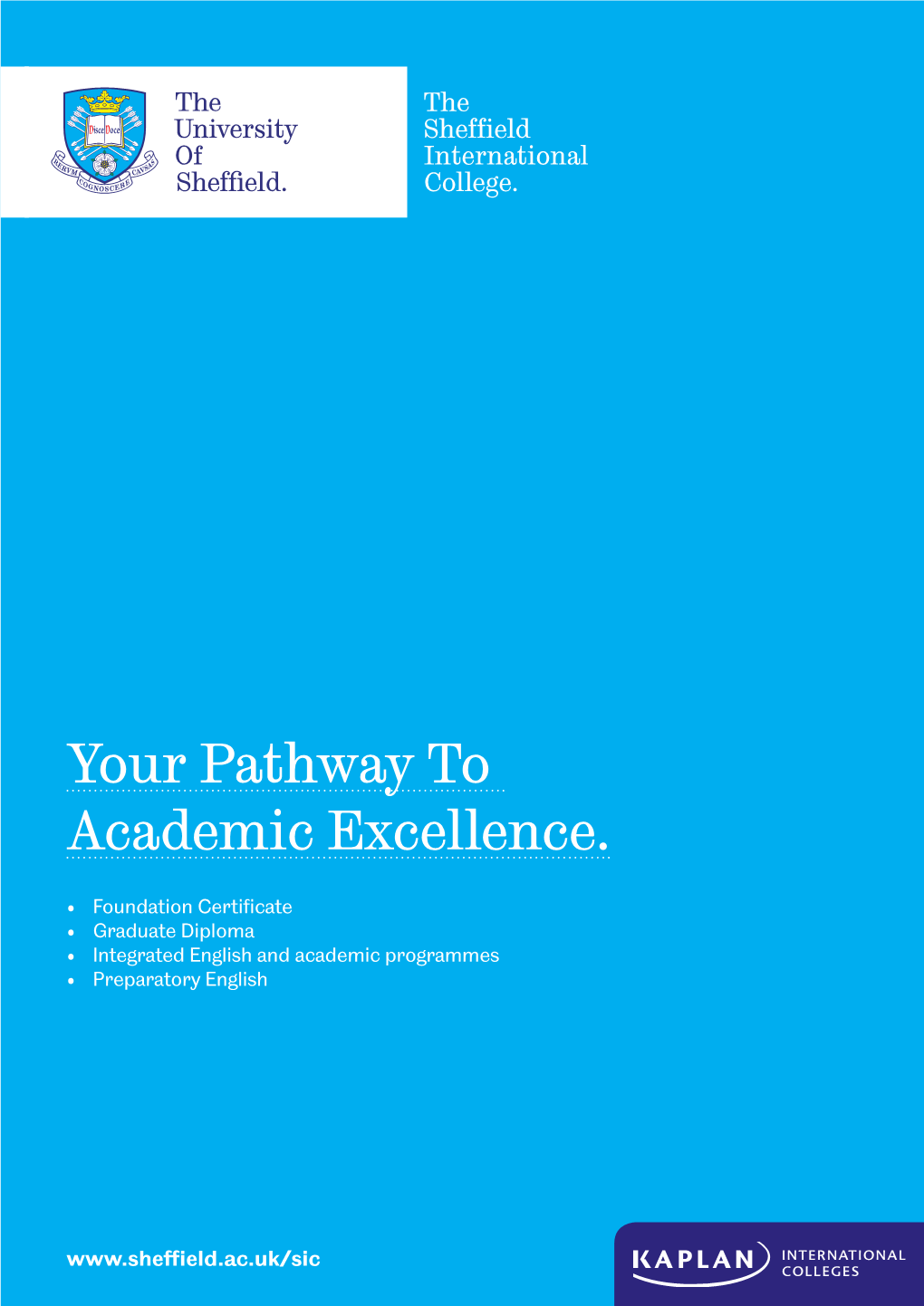 Your Pathway to Academic Excellence