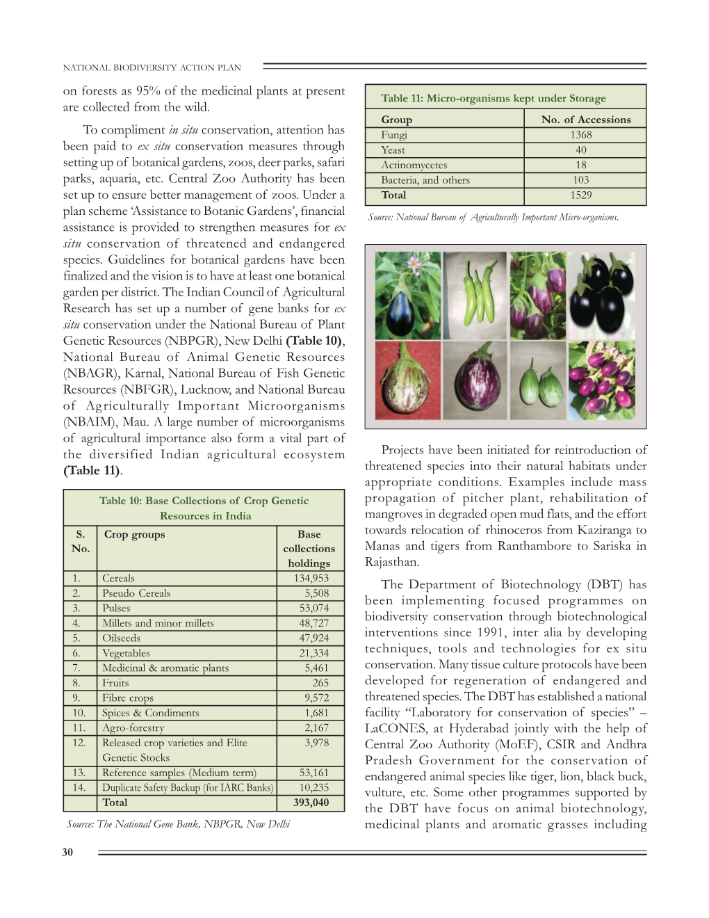 CBD Strategy and Action Plan