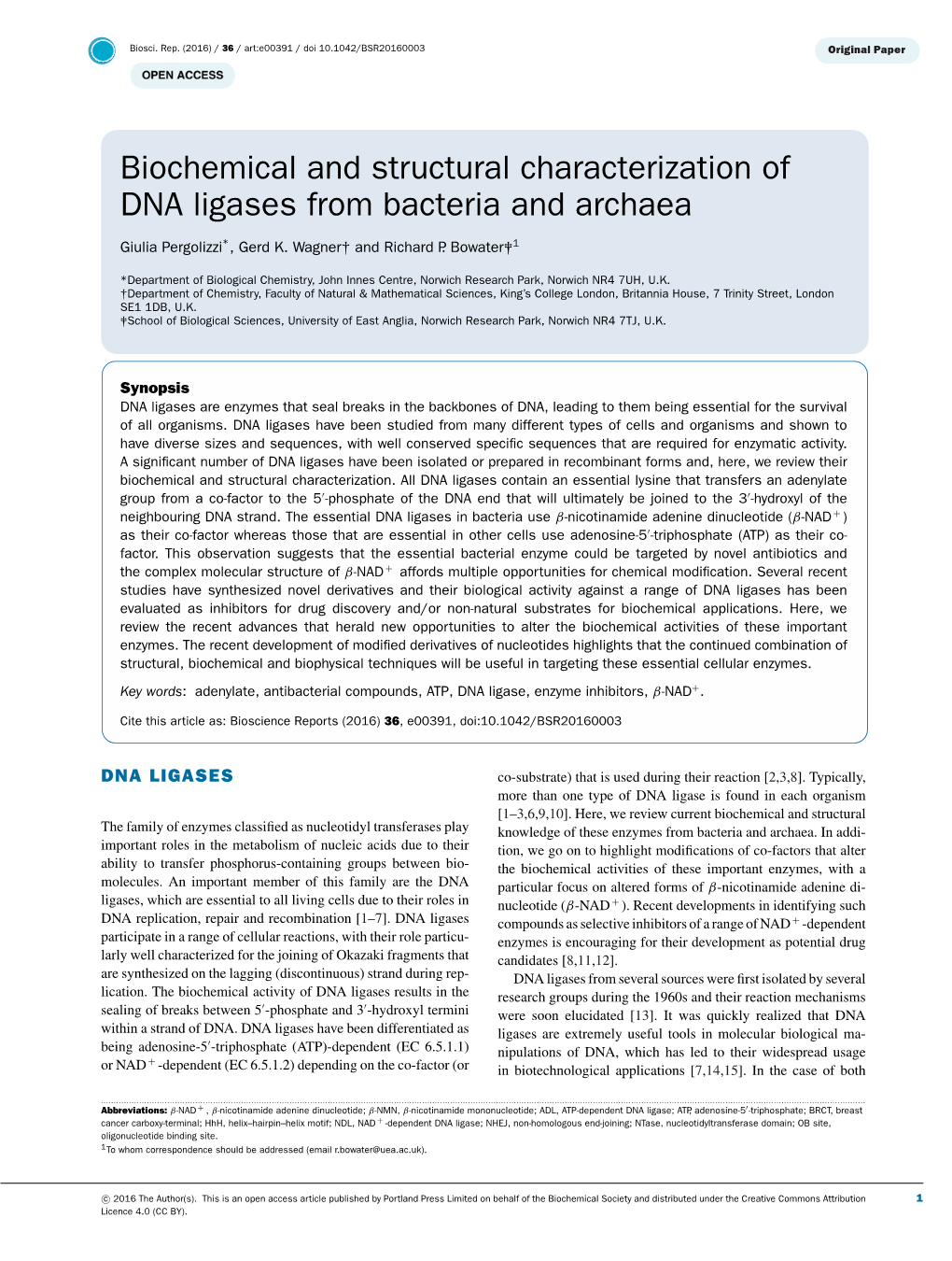 Biochemical and Structural Characterization of DNA Ligases from Bacteria and Archaea