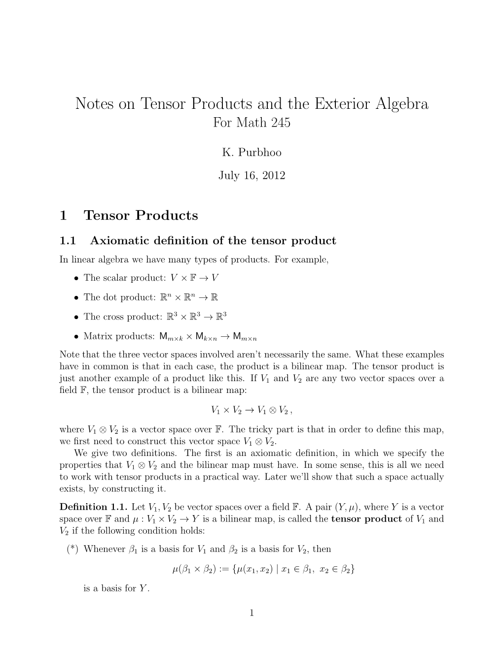 Notes on Tensor Products and the Exterior Algebra for Math 245