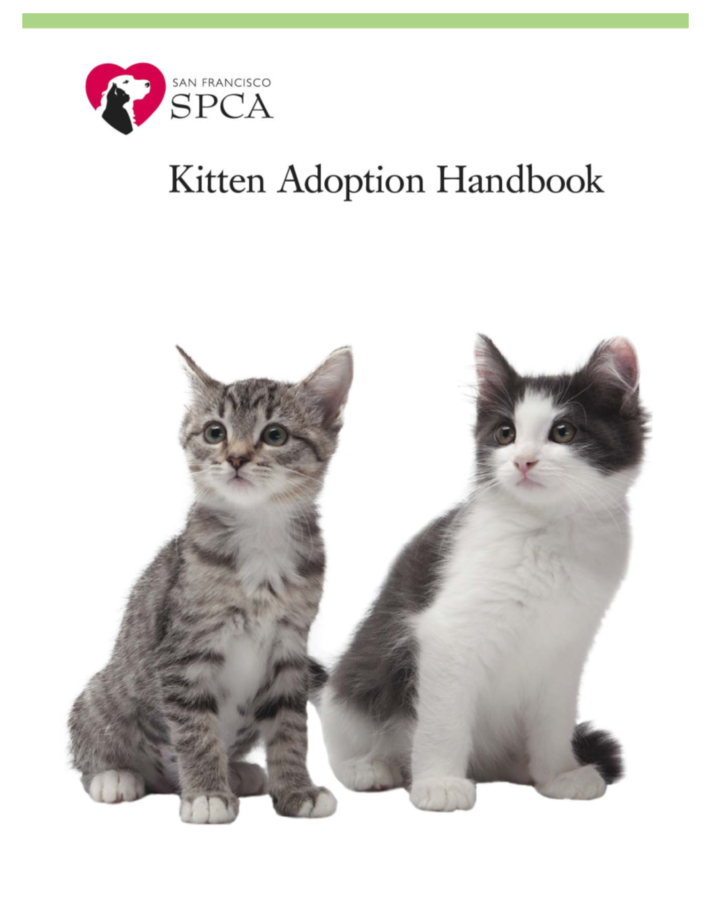 Kitten Adoption Handbook: Table of Contents