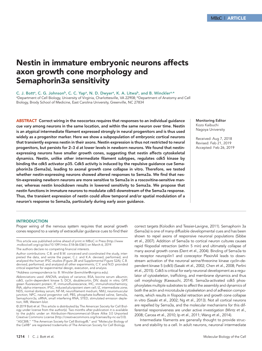 Nestin in Immature Embryonic Neurons Affects Axon Growth Cone Morphology and Semaphorin3a Sensitivity