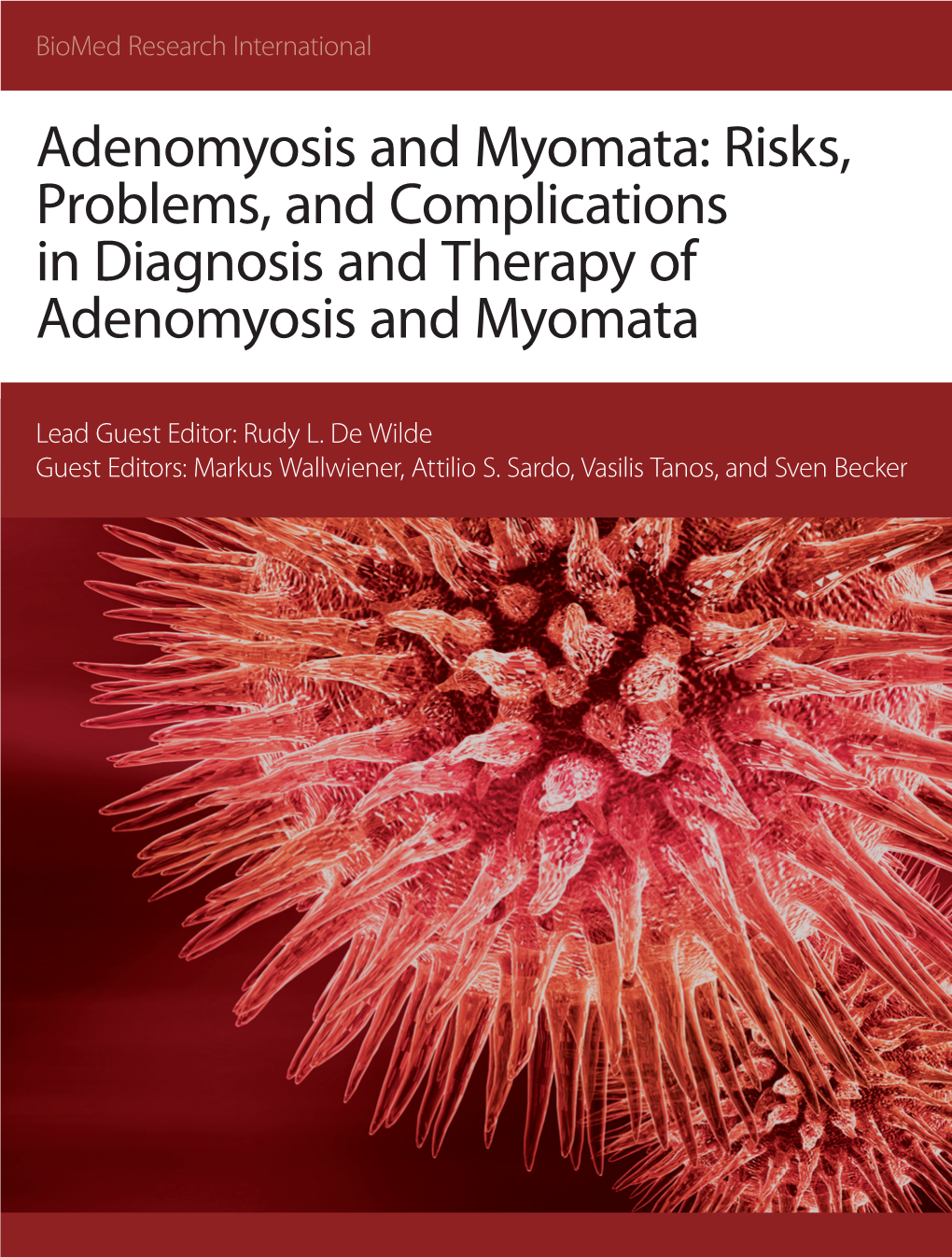 Risks, Problems, and Complications in Diagnosis and Therapy of Adenomyosis and Myomata