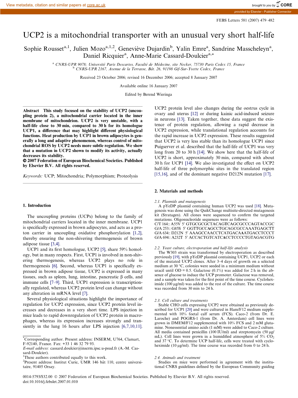 UCP2 Is a Mitochondrial Transporter with an Unusual Very Short Half-Life