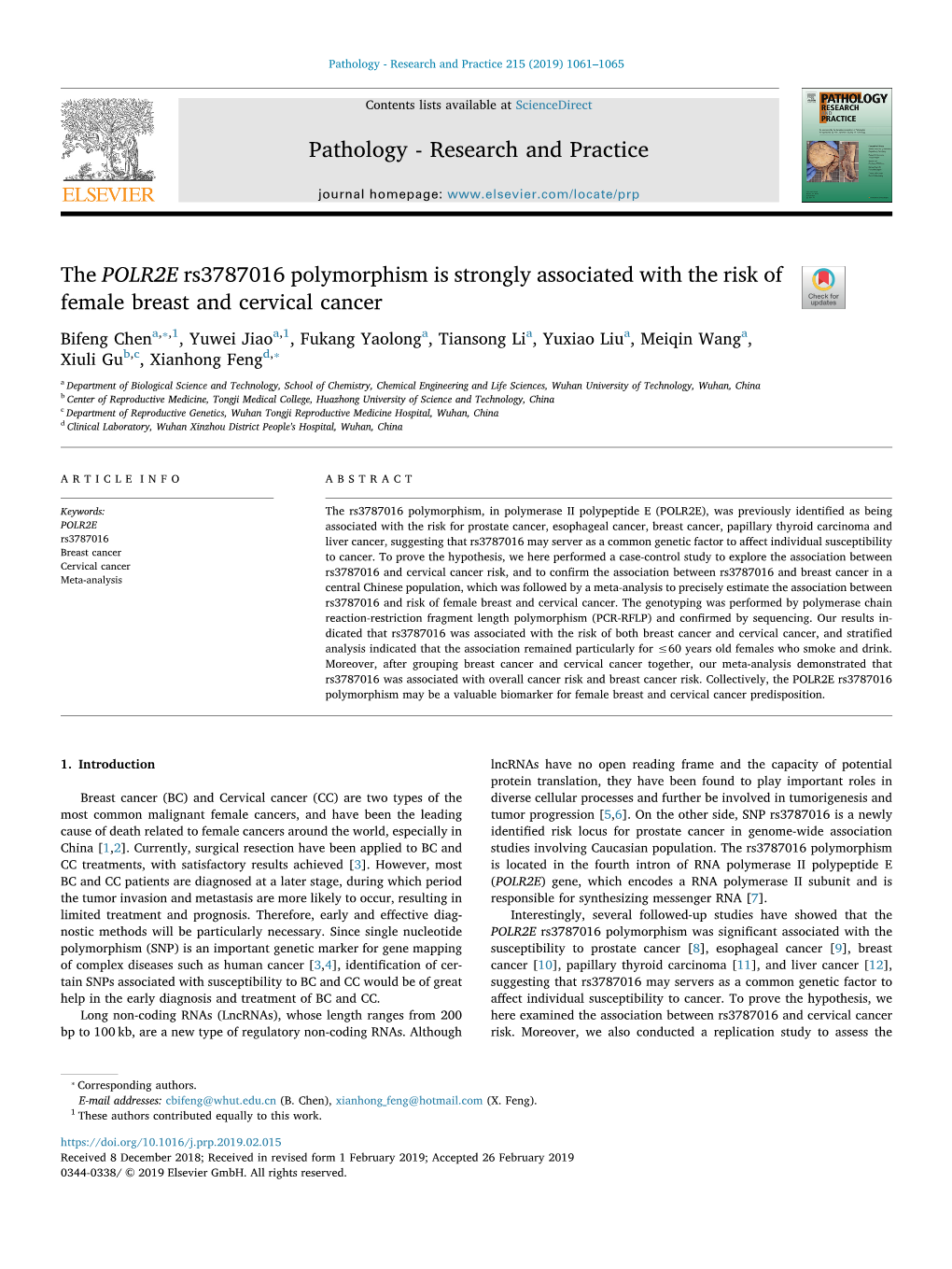 The POLR2E Rs3787016 Polymorphism Is Strongly