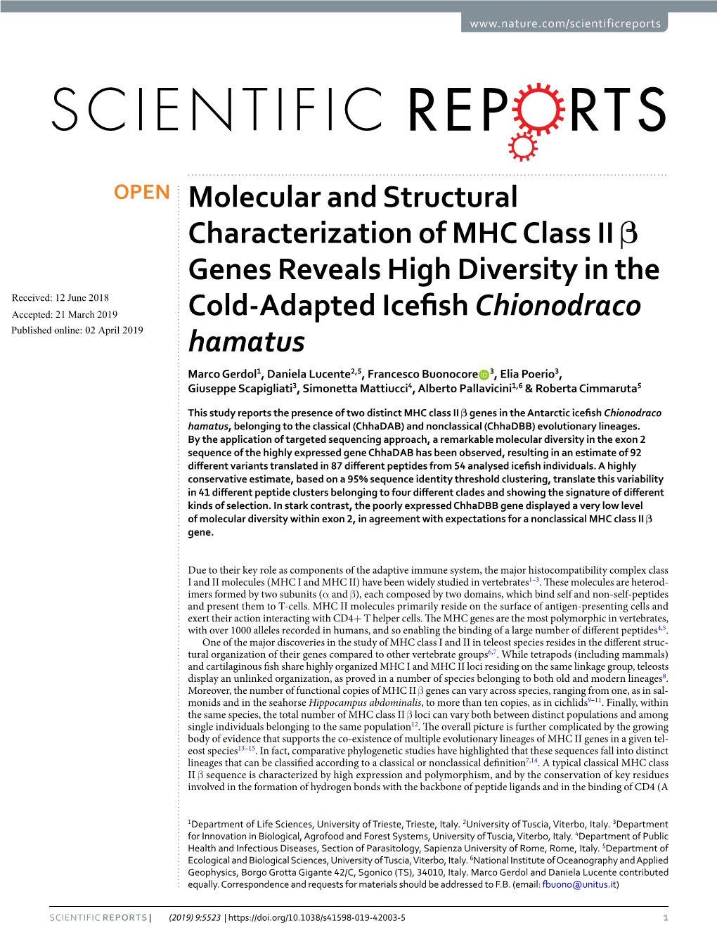 Molecular and Structural Characterization of MHC Class II Β