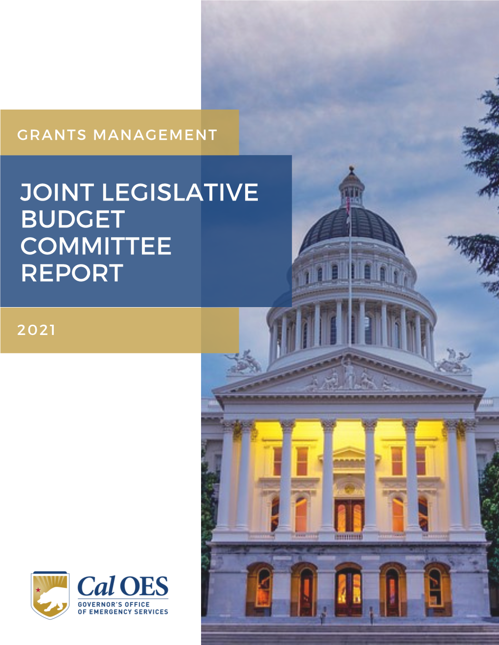 2021 Joint Legislative Budget Committee (JLBC) Report