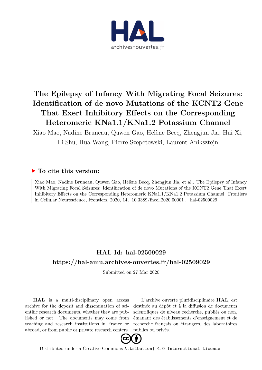 The Epilepsy of Infancy with Migrating Focal Seizures