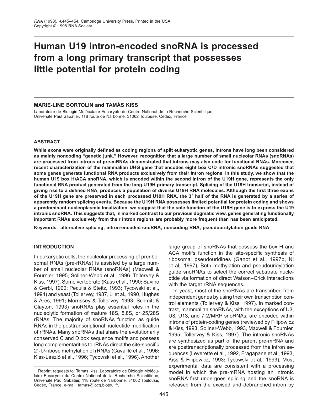 Human U19 Intron-Encoded Snorna Is Processed from a Long Primary Transcript That Possesses Little Potential for Protein Coding