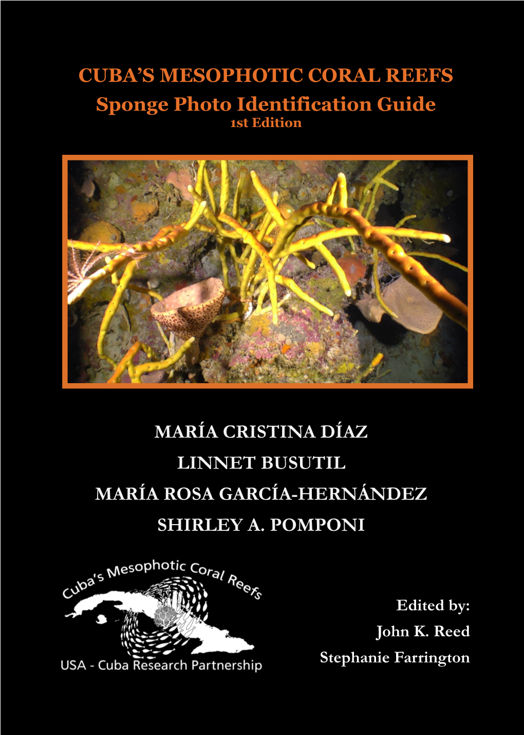 CUBA's MESOPHOTIC CORAL REEFS Sponge Photo Identification