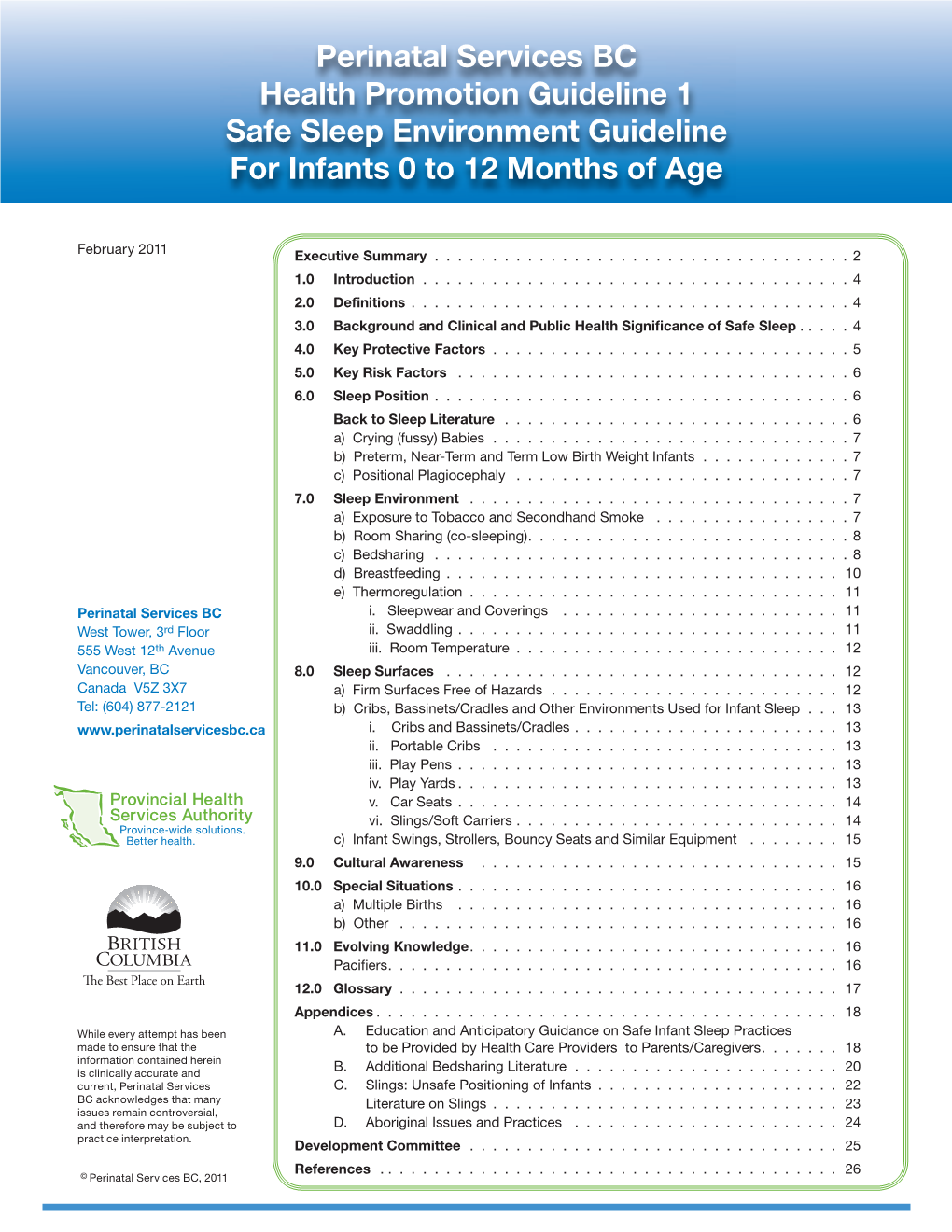 Safe Sleep Environment Guideline for Infants 0 to 12 Months of Age