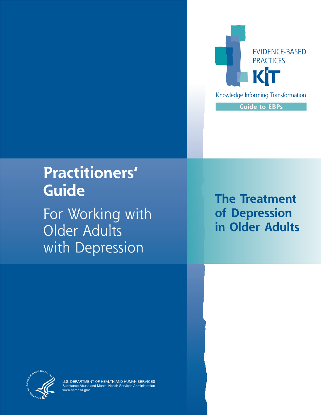 Practitioner's Guide for Working with Older Adults with Depression